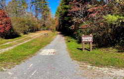 Seebert Road, Hillsboro, WV 24946