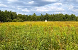 County Road Y, Aniwa, WI 54408