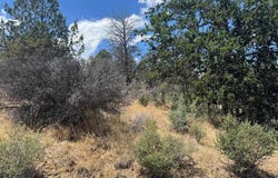 Clark Rd, Hornbrook, CA 96044