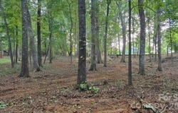 Telegraph Drive, Gastonia, NC 28056
