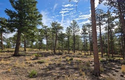18677 State Highway 7, Lyons, CO 80540
