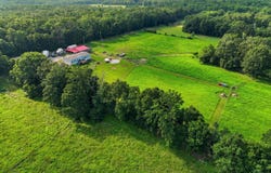 9617 County Road 2680, Mountain View, MO 65548