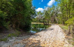 2088 (Tract #3) Baca Loop, Flatonia, TX 78941