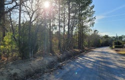Auburn Drive lot: 2, Loris, SC 29569
