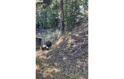 Fir St, NorthBend, OR 97459