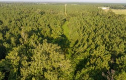 1 Edgerly Road, Dequincy, LA 70633