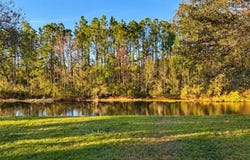 26841 STILLBROOK Drive, WESLEY CHAPEL, FL 33544
