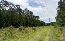 Tract A - TBD Pennyroyal Rd., Georgetown, SC 29440