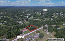 120 VICEROY Drive, Satsuma, FL 32189