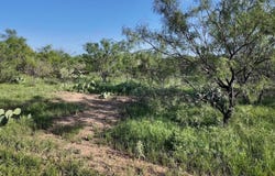 CR 436, Rochelle, TX 76872