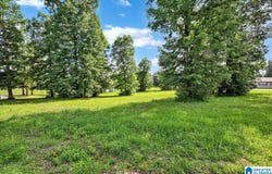 COUNTY ROAD 783, CULLMAN, AL 35055