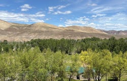 190 Meadow Road, Challis, ID 83226