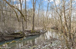 1333 Cherry St, Rutledge, TN 37861