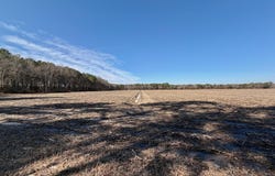 Sandy Ridge Road, Tyner, NC 27980