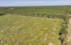 Rooks Road, Gates, NC 27937