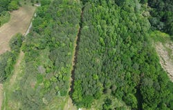 0 PINEY POINT DR, Cullman, AL 35055