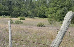 8688 Miller Rd, Alanson, MI 49706