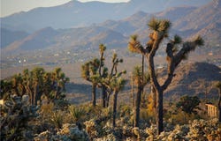 5374 Marvin Drive, Yucca Valley, CA 92284