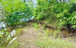 Coamo, Coamo, PR 00769