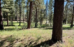 1855 Valley Ranch Drive, Clio, CA 96106