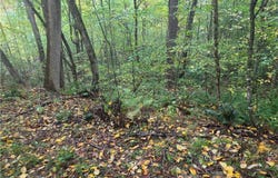 Chandas Way, Laurens, NY 13796