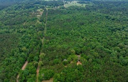 CARROLL BRASHIER ROAD, Downsville, LA 71234
