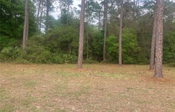 SE 19TH PL, SILVER SPRINGS, FL 34488