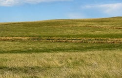 County Road 53, Ault, CO 80610