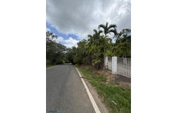 Cedro Abajo, Naranjito, PR 00783