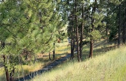 984 Sandhill Loop, Florence, MT 59833