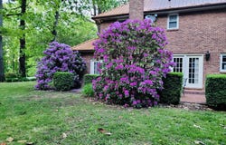 5659 Brenda Avenue, Dublin, VA 24084