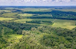 WHITEHALL ROAD, Mangham, LA 71259