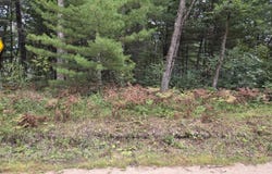 S Idlewild Boulevard, Idlewild, MI 49642