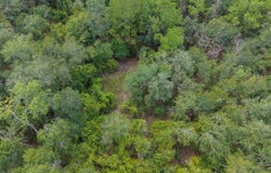 160TH TERR, McAlpin, FL 32060
