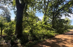 46 MURRAY, Proctor, AR 72376