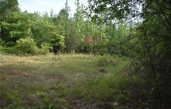 JACKSON Road, CAMP HILL, AL 36850