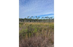 Bergman Road, Naylor, GA 31641