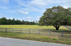 4580 NE 138TH Terrace, WILLISTON, FL 32696