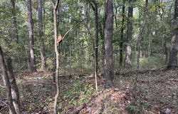 329 Big Man Road, West, MS 39192