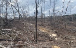 Hines Road, Camden, MS 39045