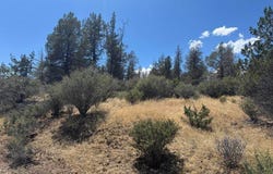 Clark Rd, Hornbrook, CA 96044