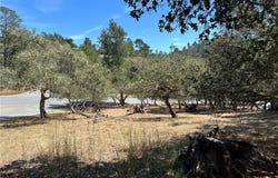 Pierce Avenue, Cambria, CA 93428