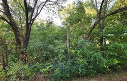 Lakeview Drive, Langley, OK 74350