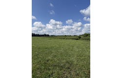 Highway 63, Houston, MO 65483