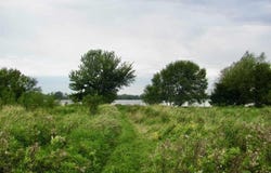 County Rd 20, Hanska, MN 56041