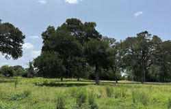 220 Bybee Road, Round Top, TX 78954