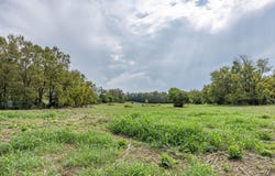 706 Stone Road, Paris, KY 40361