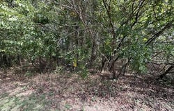 Walnut Circle, Flemington, MO 65650