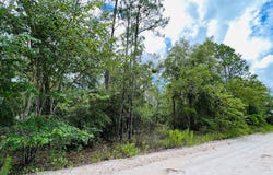 NW 16th Ave lot: 10, Bell, FL 32619