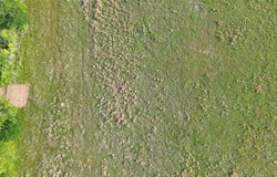 County Road 4072 lot: 2, Kemp, TX 75143